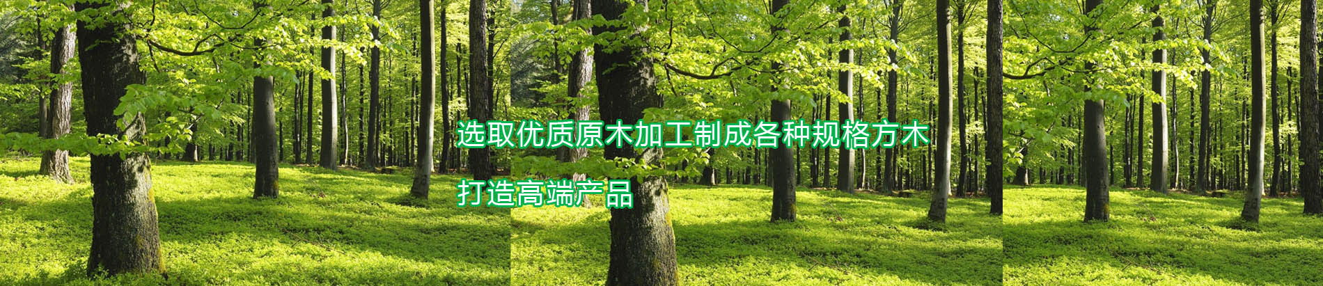 日照永荣木业有限公司